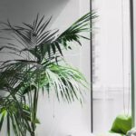 Fix és rolós szúnyoghálós árnyékolók ablakhoz